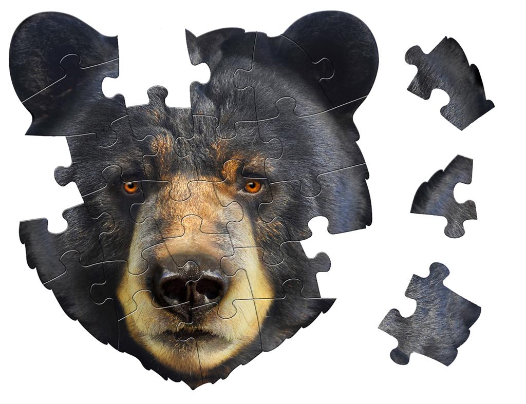 Bear Puzzle