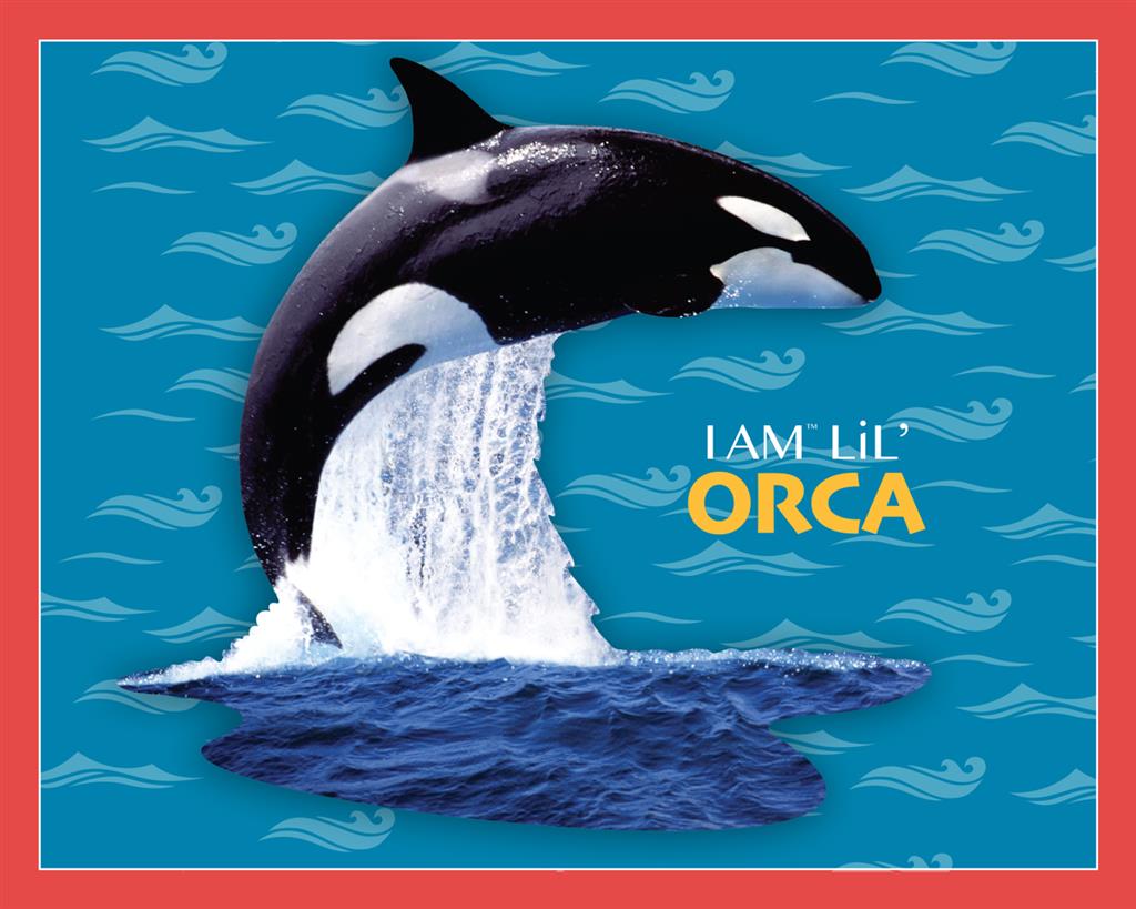 Orca Puzzle