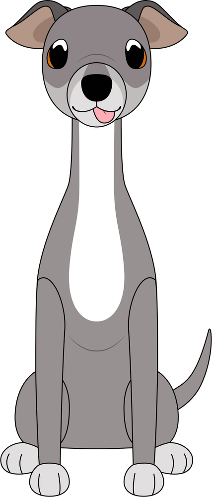 Piccolo levriero italiano