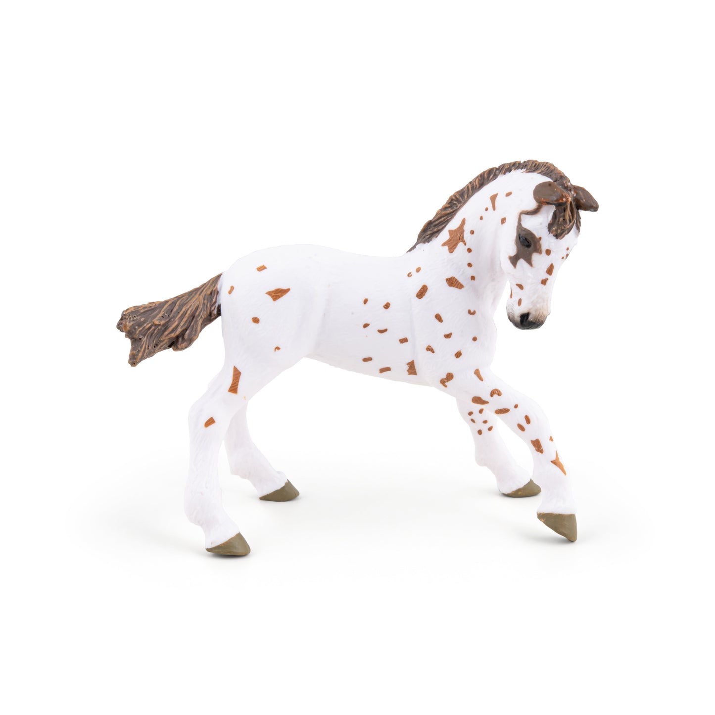 Figurine Poulain appaloosa brun