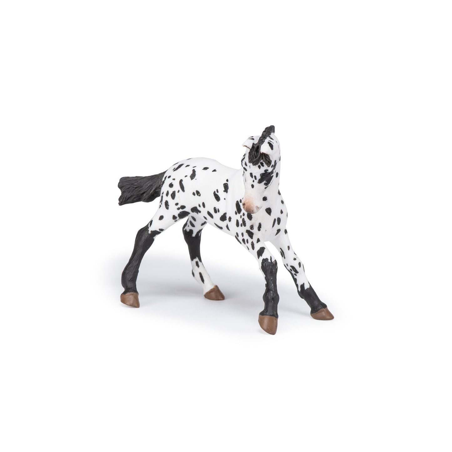 Black Appaloosa Colt Figurine