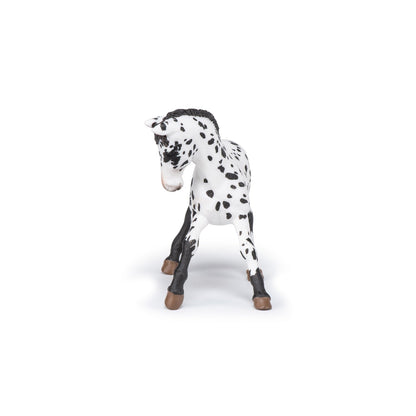 Black Appaloosa Colt Figurine
