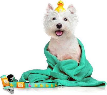 Short Leash – Ducks