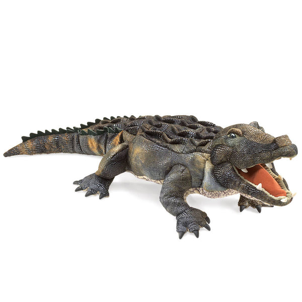 Marionnette à main Alligator américain 2921/ Alligator américain Folkmanis réaliste
