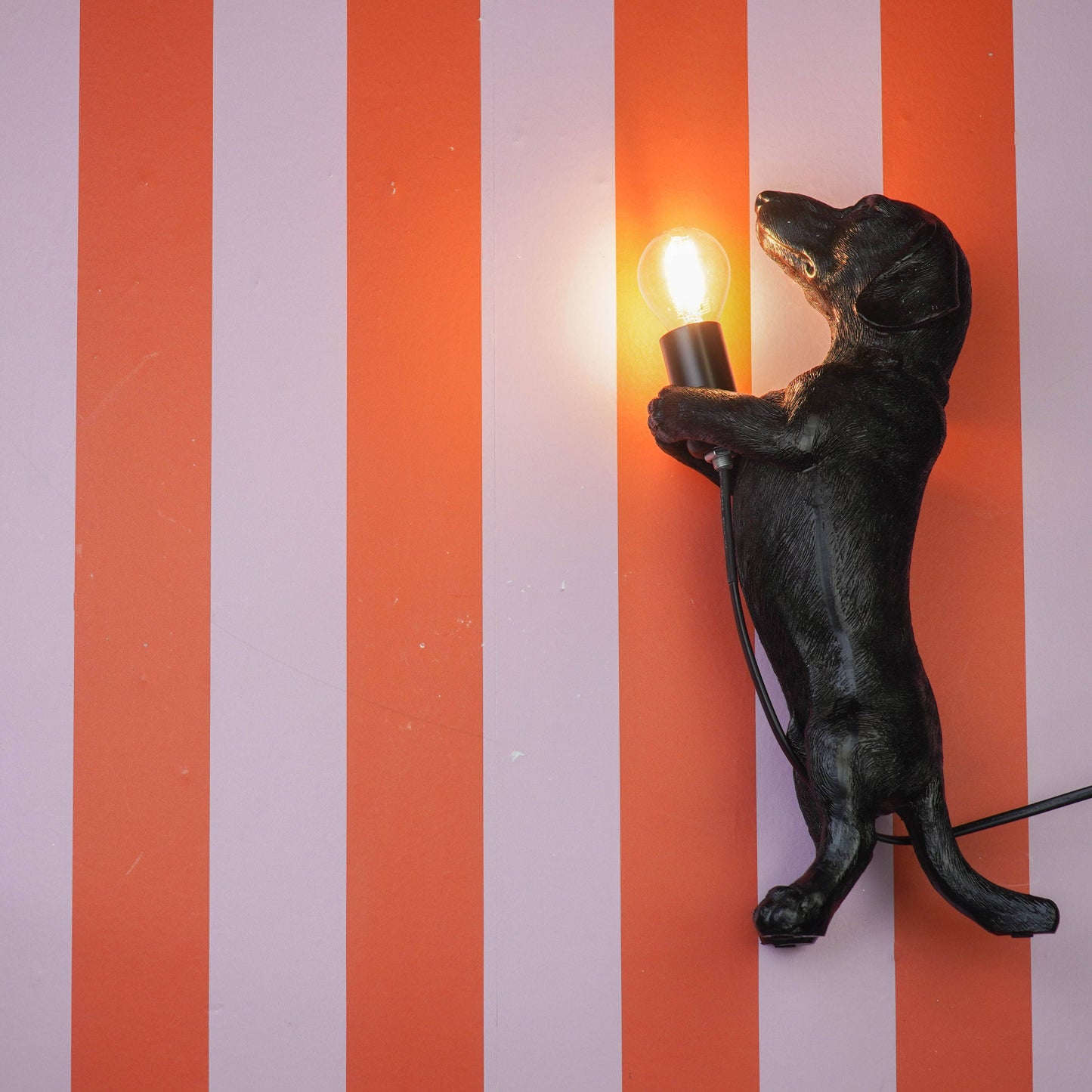 Lámpara Dachshund - Negra