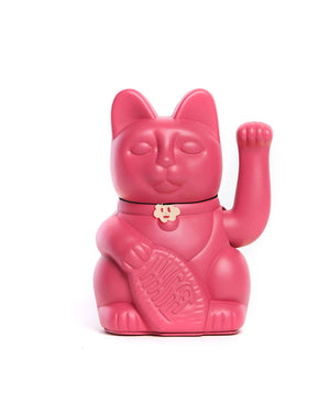 Gato rojo púrpura