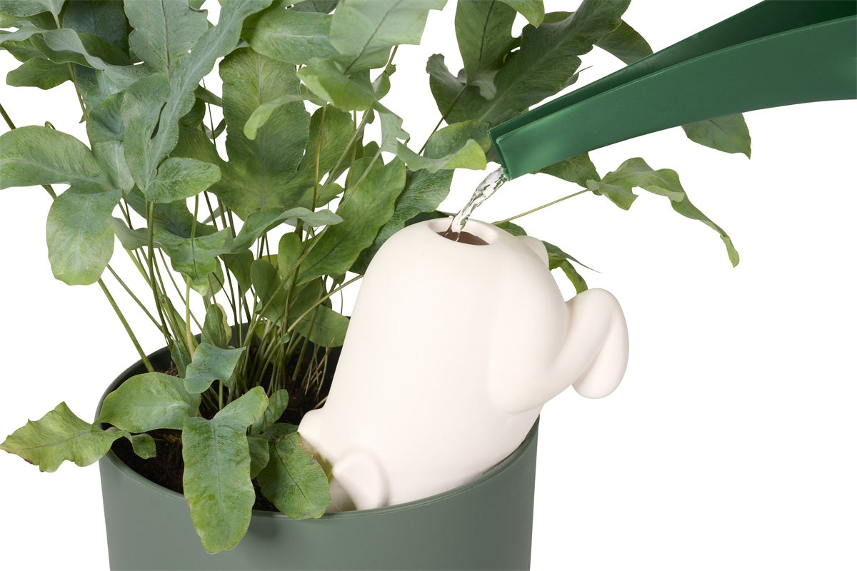 arroseur autonome lapin bunny bitten