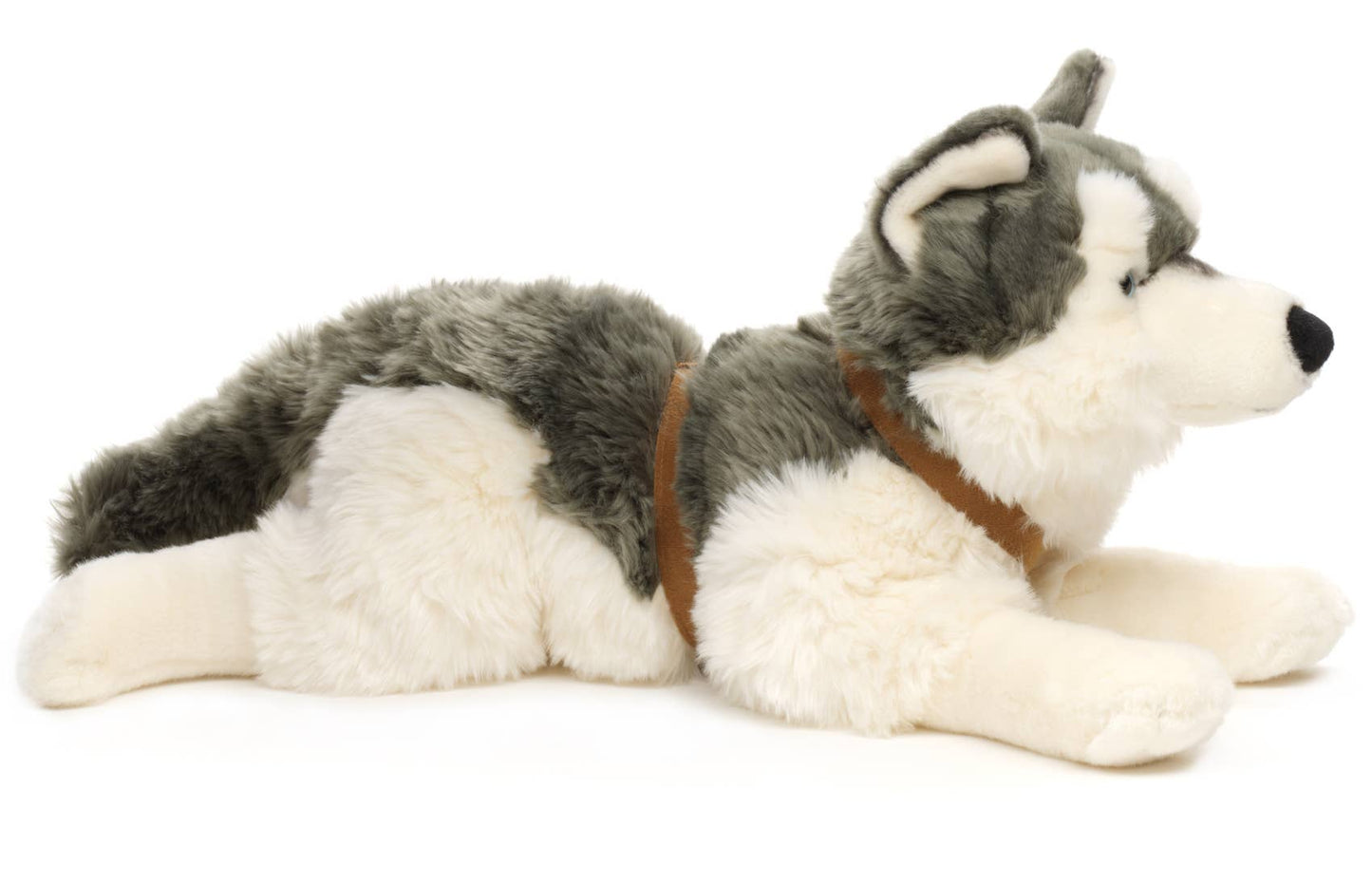Husky de peluche, deitado (com coleira)