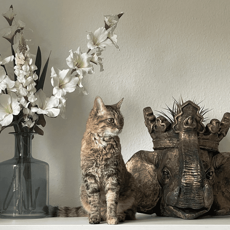 Maceta gigante con forma de elefante, dorada