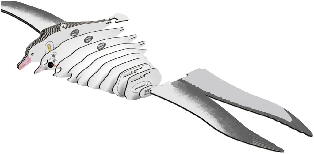 EUGY 3D - Albatros Royal