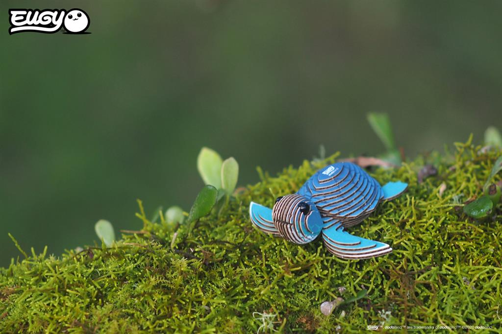 EUGY 3D - Sea Turtle