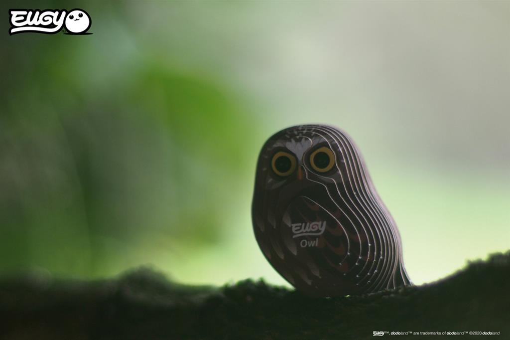 EUGY 3D - Hibou