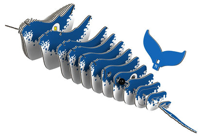 EUGY 3D - Ballena jorobada