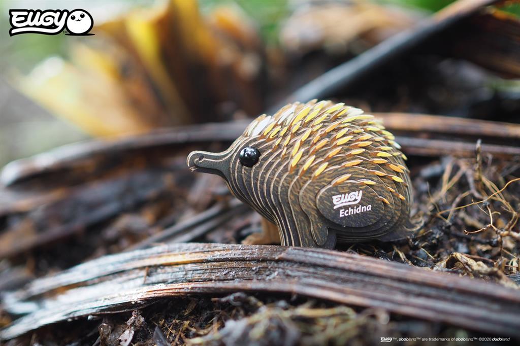 EUGY 3D - Equidna