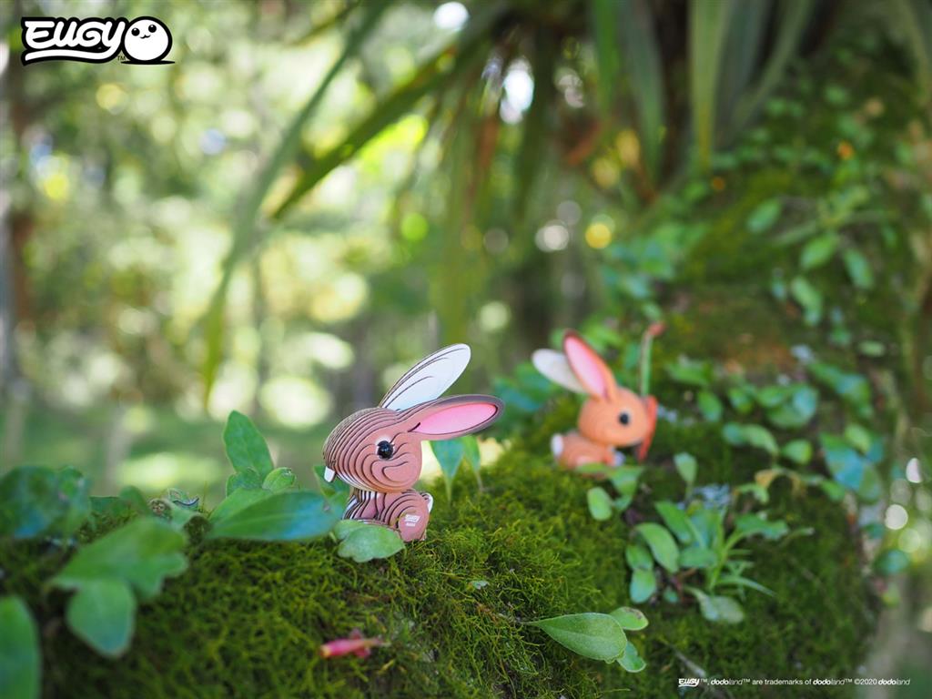 EUGY 3D - Rabbit
