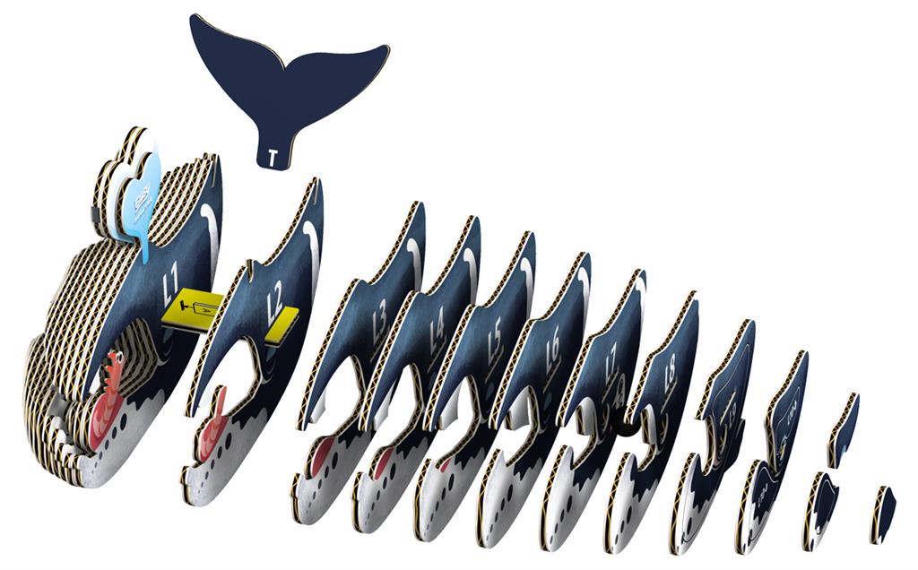 EUGY 3D - Baleine Boréale