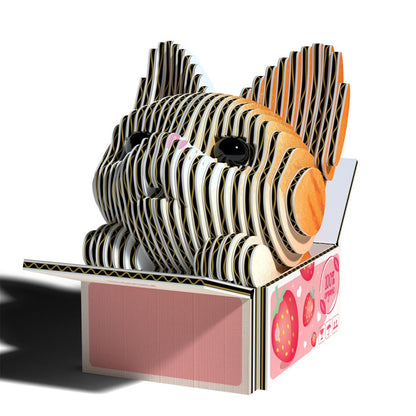 EUGY 3D - Cats - Pumpkin