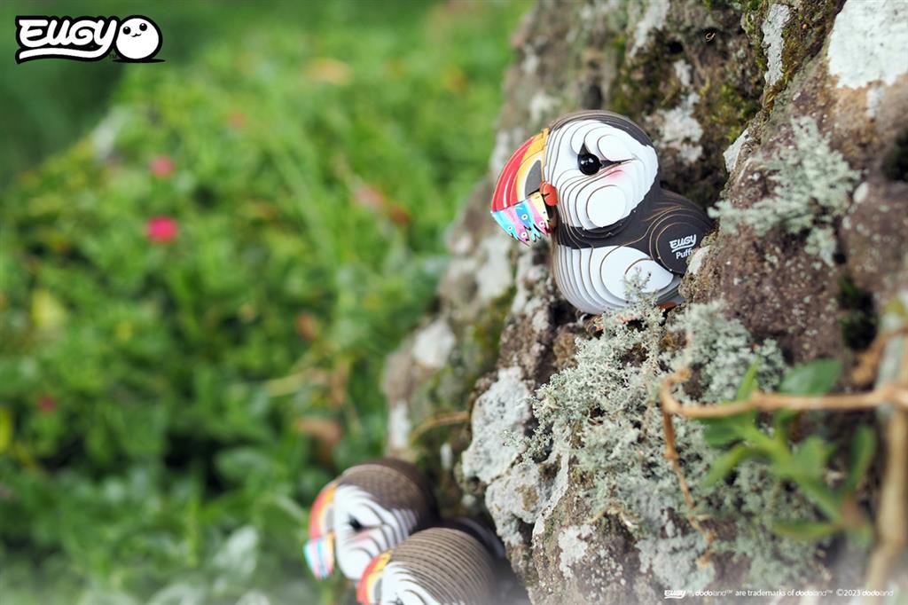 EUGY 3D - Frailecillo