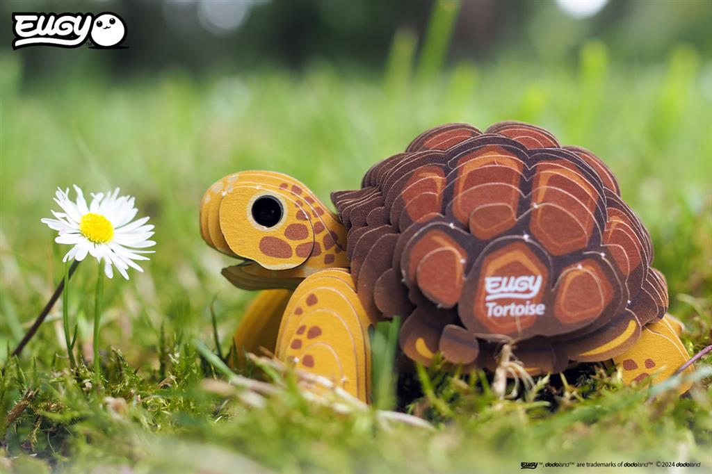 EUGY 3D - Tortuga