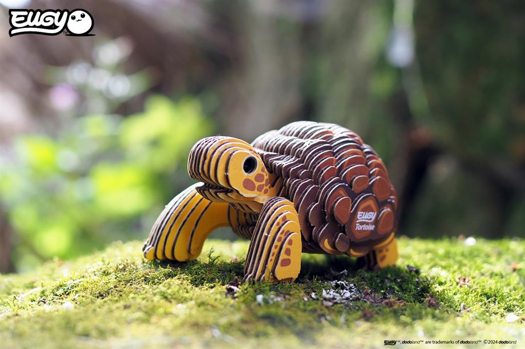 EUGY 3D - Tortuga