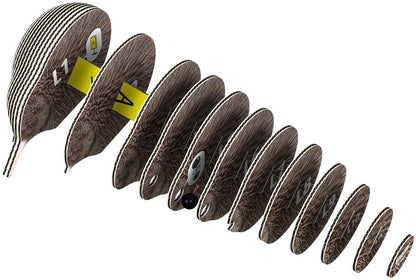 EUGY 3D - Kiwi marrón