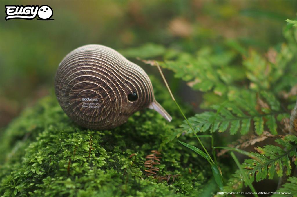 EUGY 3D - Kiwi marrón