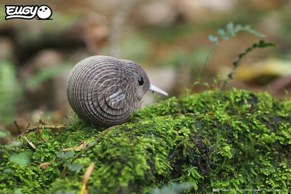 EUGY 3D - Kiwi marrón