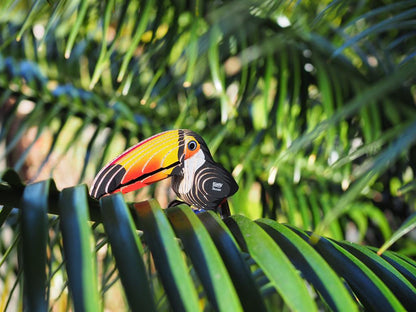 EUGY 3D - Toucan