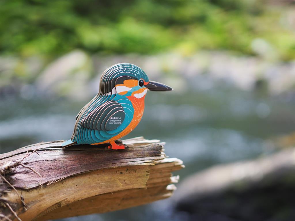 EUGY 3D - Kingfisher
