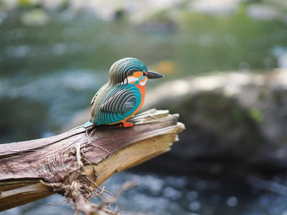 EUGY 3D - Kingfisher