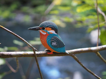 EUGY 3D - Kingfisher