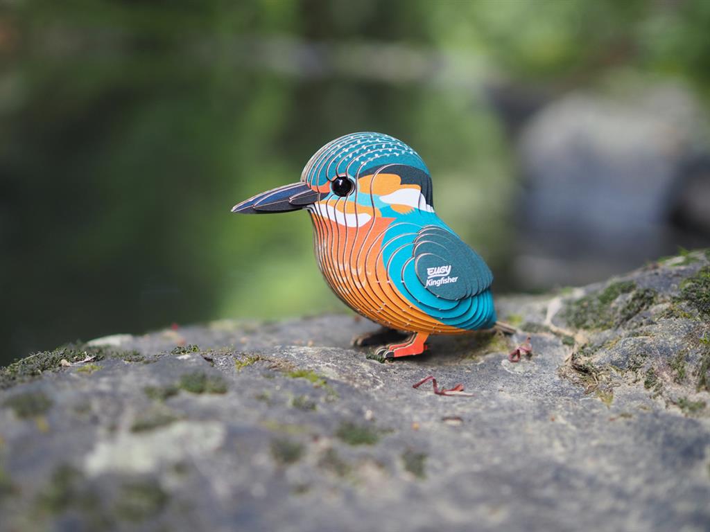 EUGY 3D - Kingfisher