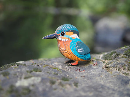 EUGY 3D - Kingfisher