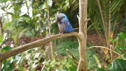 EUGY 3D - Ara de Spix