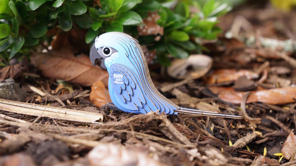 EUGY 3D - Ara de Spix