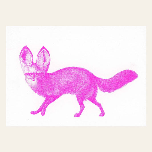Neon Pink Fennec Postcard
