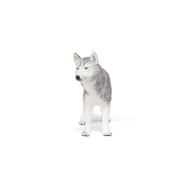 Figurine Husky de Sibérie Papo - chien ou chat