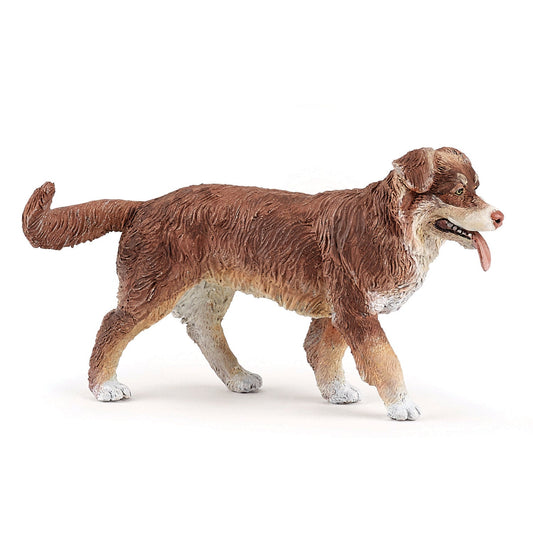 Figurine Berger australien