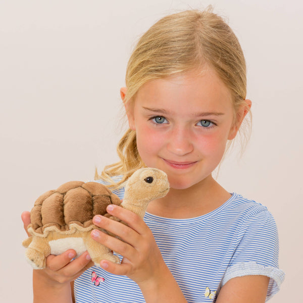 Peluche tartaruga