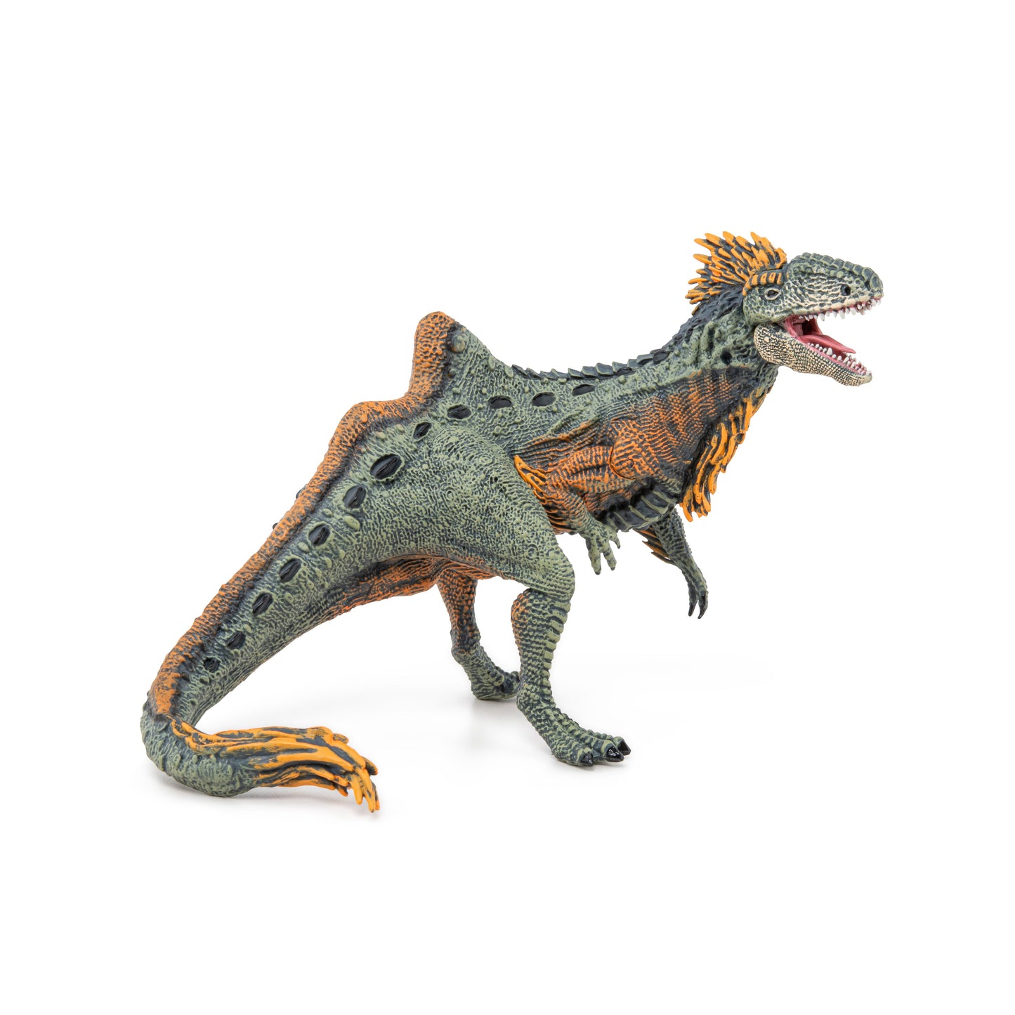 Figurine Concavenator