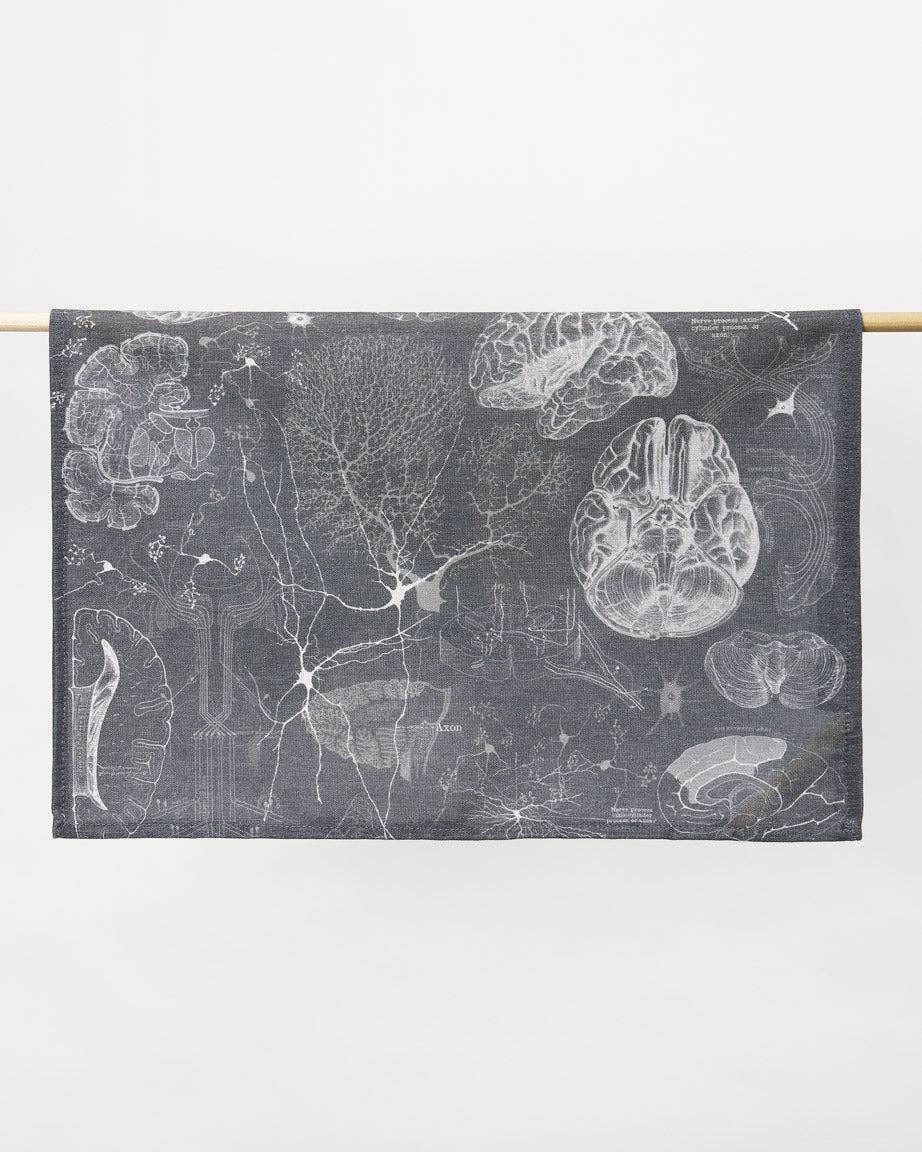 Torchon Science du Cerveau et des Neurosciences – produit scientifique Cognitive Surplus EU, vue 2