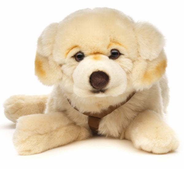 Peluche Golden Retriever, couché (avec harnais) Uni Toys
