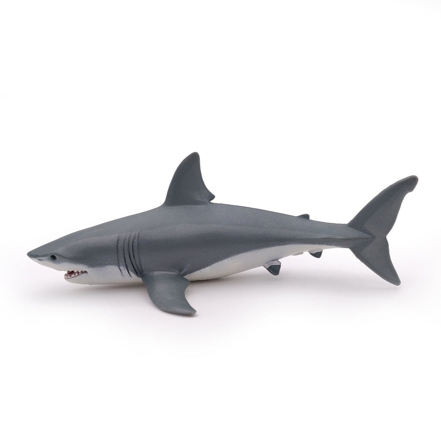 Great white shark