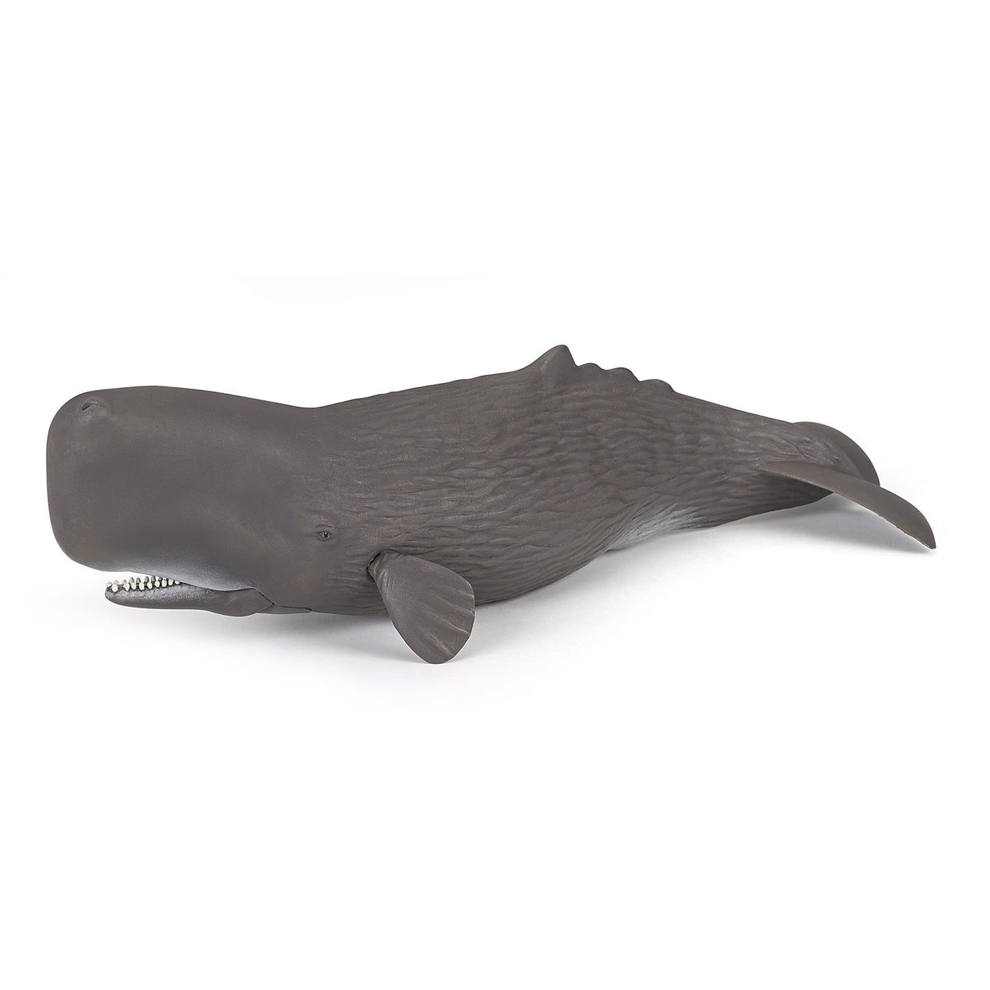 Figurine Cachalot