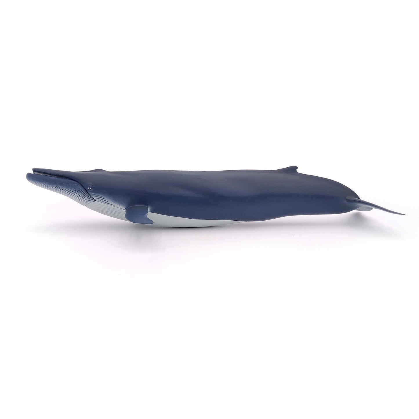 Figurine Baleine bleue