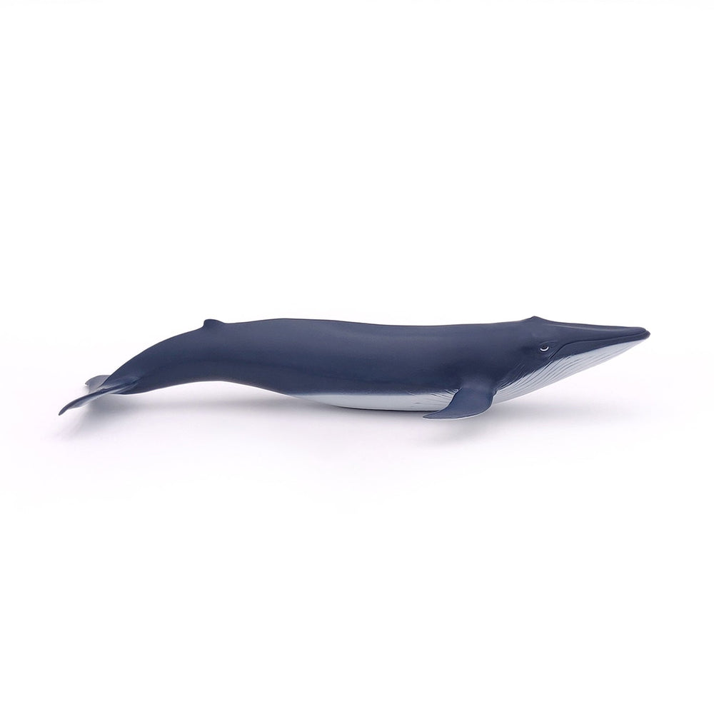 Figurine Bébé baleine bleue