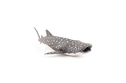 Figurine Jeune requin baleine