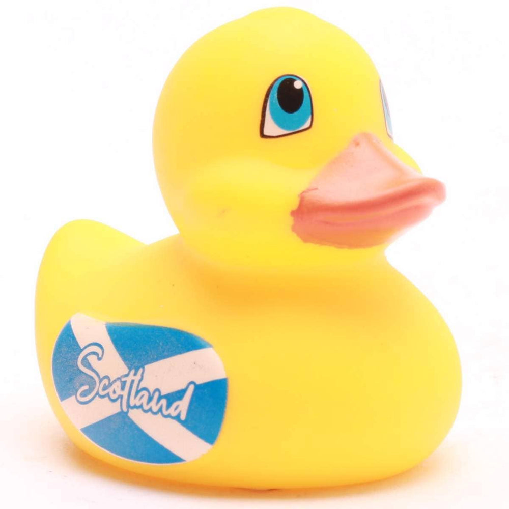 Mini Canard Écosse