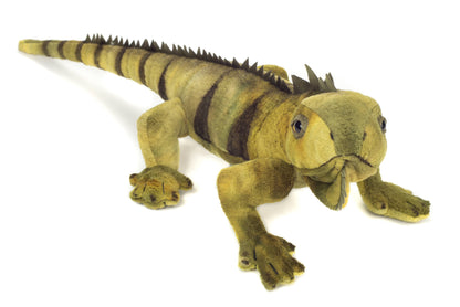 Peluche de iguana