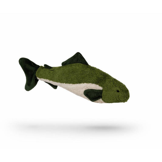 Pequeño y tierno pez abeto verde | Senger-Naturwelt